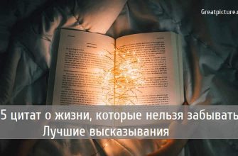 15 цитат о жизни, которые нельзя забывать. Лучшие высказывания