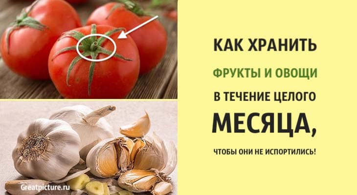 Как хранить фрукты и овощи в течение целого месяца, чтобы они не испортились!