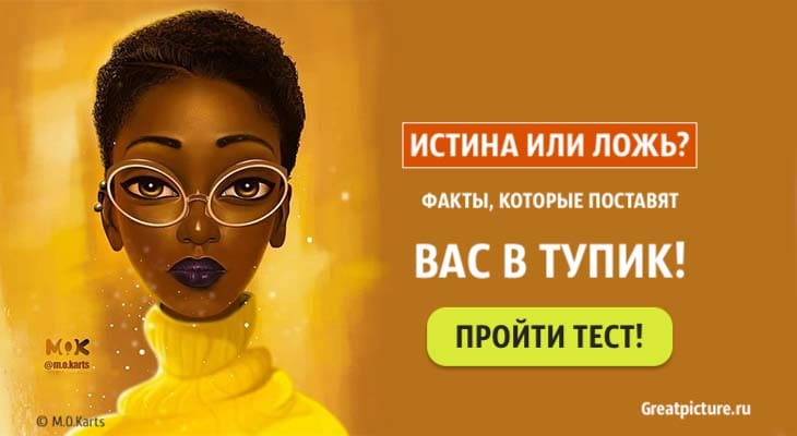 Тест: Истина или ложь? Факты, которые поставят в тупик!