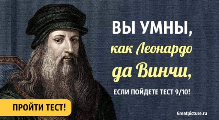 Вы умны как Леонардо да Винчи, если пройдете тест на 9/10!