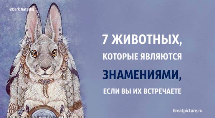 7 животных, которые являются знамениями, если вы их встречаете.