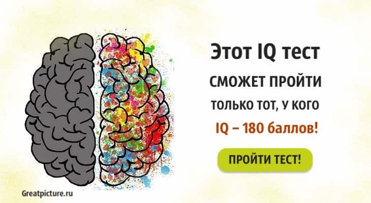 Этот IQ тест сможет пройти только тот, у кого IQ – 180 баллов!