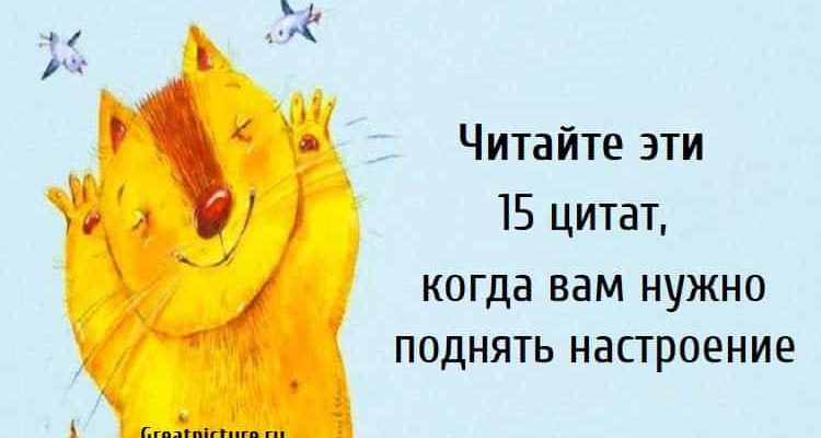 Читайте эти 15 цитат, когда вам нужно поднять настроение