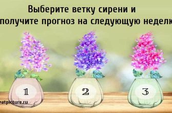 Выберите ветку сирени и получите прогноз на следующую неделю