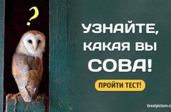 Тест. Узнайте, какая вы сова, и что это о вас говорит!