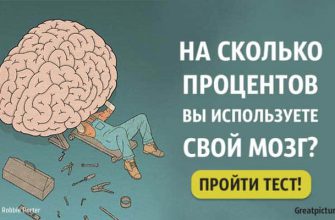 Тест: На сколько процентов вы используете свой мозг?