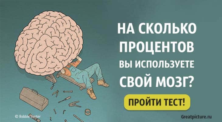 Тест: На сколько процентов вы используете свой мозг?