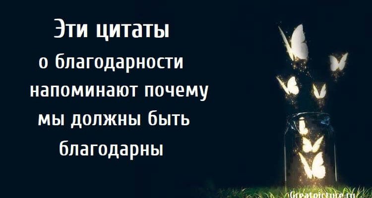 Эти цитаты о благодарности напоминают почему мы должны быть благодарны