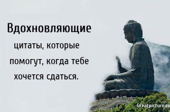 Вдохновляющие цитаты, которые помогут, когда тебе хочется сдаться.