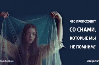 Что происходит со снами, которые мы не помним? Теперь я знаю!