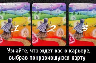 Узнайте, что ждет вас в карьере, выбрав понравившуюся карту