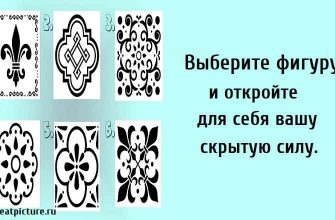 Выберите фигуру и откройте для себя вашу скрытую силу.