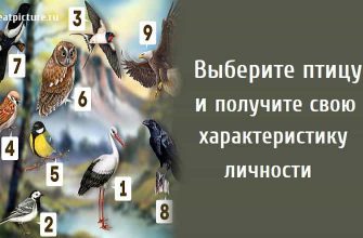 Выберите птицу и получите свою характеристику личности