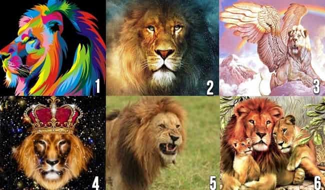 Какой партнер вам нужен в жизни? Выберите льва, и узнайте!