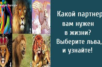 Какой партнер вам нужен в жизни? Выберите льва, и узнайте!
