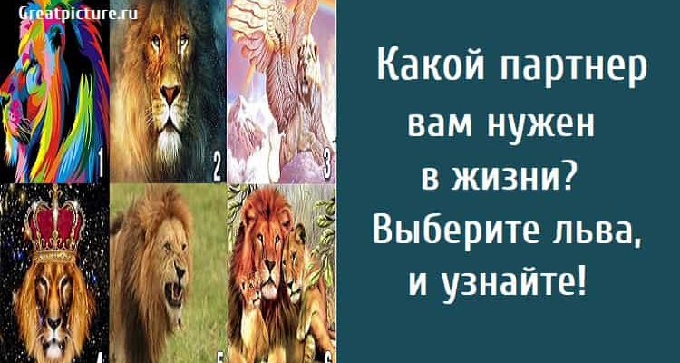 Какой партнер вам нужен в жизни? Выберите льва, и узнайте!