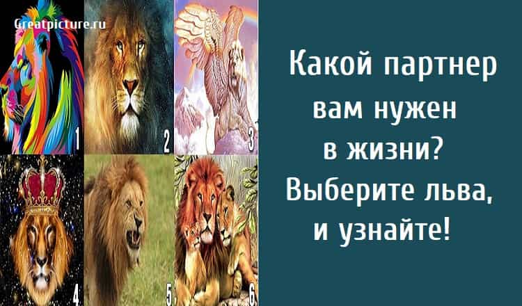 Лев я выбираю жизнь. Лев выборов. Какой цвет часы выбрать для Лев женщина. Какие девушки подойдут льву