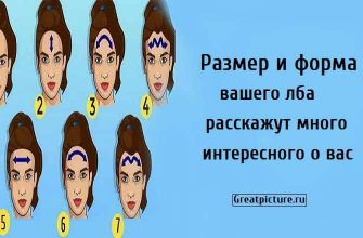 Размер и форма вашего лба расскажут много интересного о вас