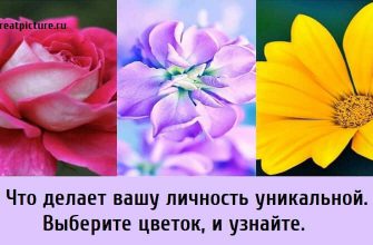 Что делает вашу личность уникальной. Выберите цветок, и узнайте.