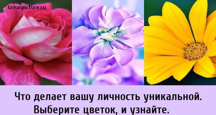 Что делает вашу личность уникальной. Выберите цветок, и узнайте.