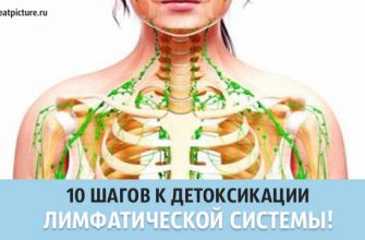 10 шагов к детоксикации лимфатической системы. Сохраните здоровье!