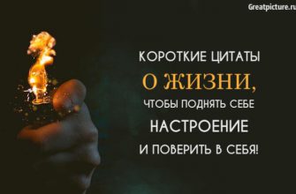 Короткие цитаты о жизни, чтобы поднять себе настроение и поверить в себя!