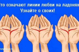 Что означают линии любви на ладонях? Узнайте о своих!