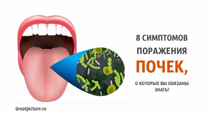 8 симптомов поражения почек