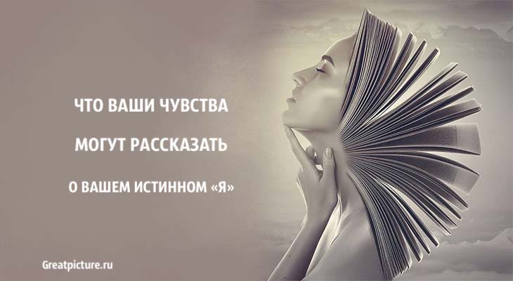 Что ваши чувства могут рассказать