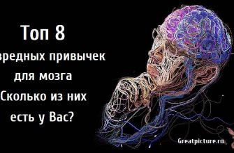 Топ 8 вредных привычек для мозга, вредные привычки, что вредно для мозга, плохие привычки