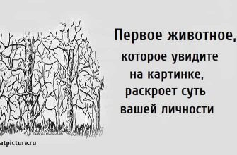 раскроет суть вашей личности, тест на личность, личностный тест, тест картинка, психологические тесты,