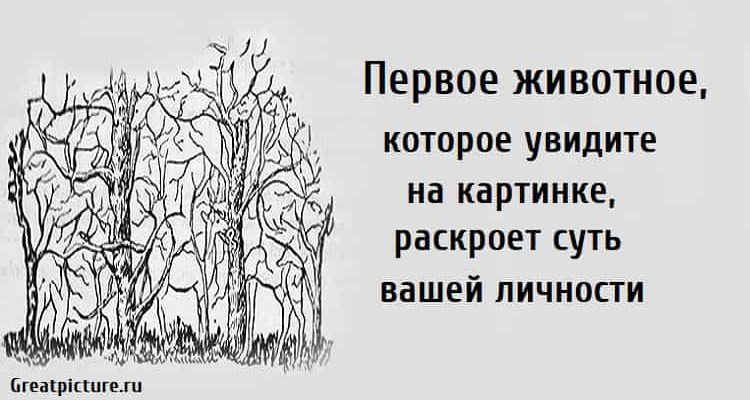 раскроет суть вашей личности, тест на личность, личностный тест, тест картинка, психологические тесты,