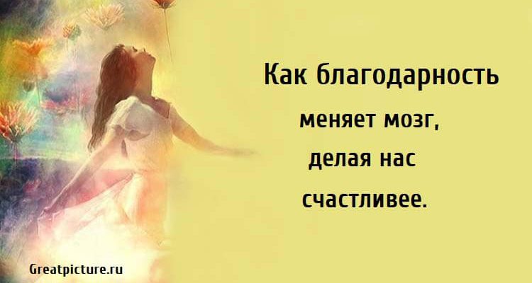 Как благодарность меняет мозг, саморазвитие, здоровье, благодарность, мозг,