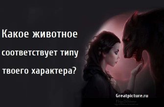 типу твоего характера, характер, животное, интересное,