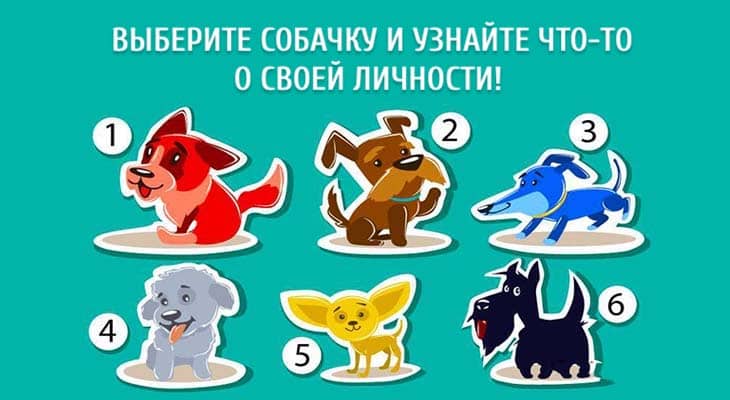 Выберите собачку и узнайте1