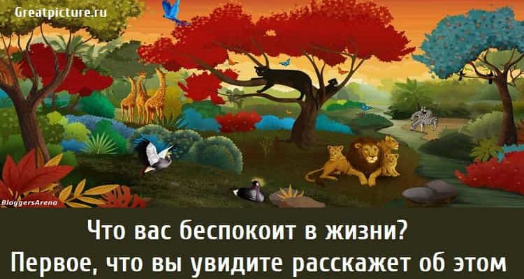 Что вас беспокоит в жизни, тест картинка, психологические тесты,