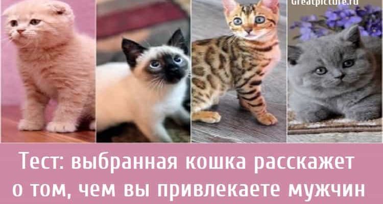 чем вы привлекаете мужчин , тест картинка, психологические тесты,