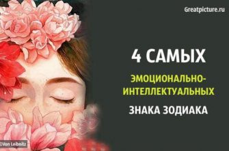 4 Самых эмоционально-интеллектуальных