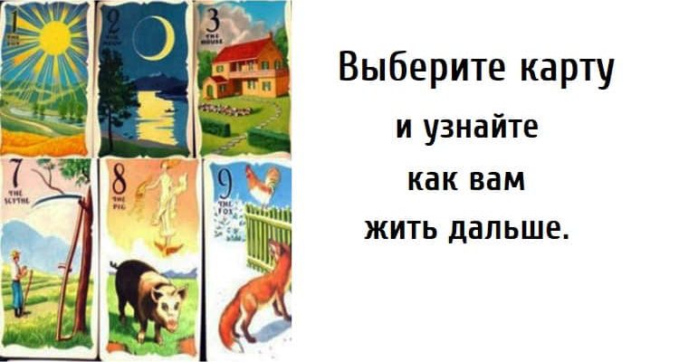 как вам жить дальше, тест совет, тест картинка,