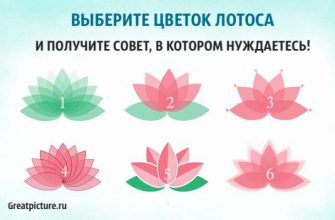 Выберите цветок лотоса