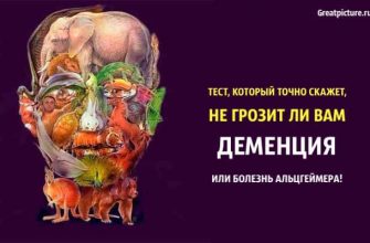 тест не грозит ли вам деменция