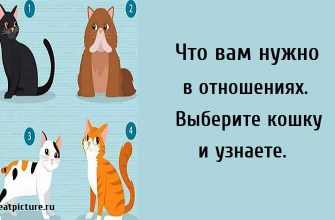 Что вам нужно в отношениях, тест картинка, психологические тесты, тест на отношения,