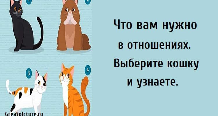 Что вам нужно в отношениях, тест картинка, психологические тесты, тест на отношения,