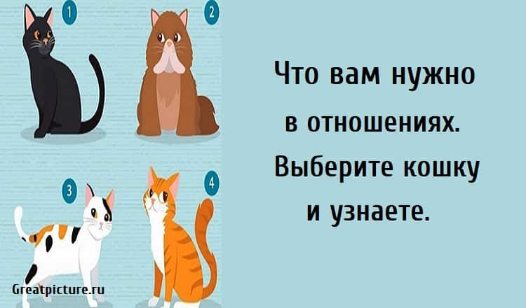 Кошки подобрать слово