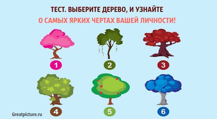 Выберите дерево, и узнайте