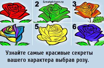 Узнайте самые красивые секреты вашего характера, выберите розу, тест картинка, психологические тесты,