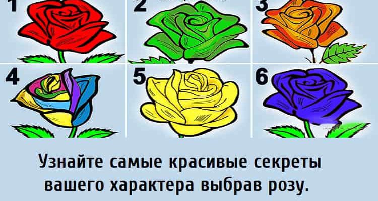 Узнайте самые красивые секреты вашего характера, выберите розу, тест картинка, психологические тесты,