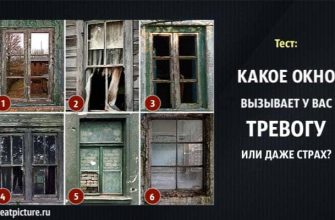 Какое окно вызывает у вас тревогу