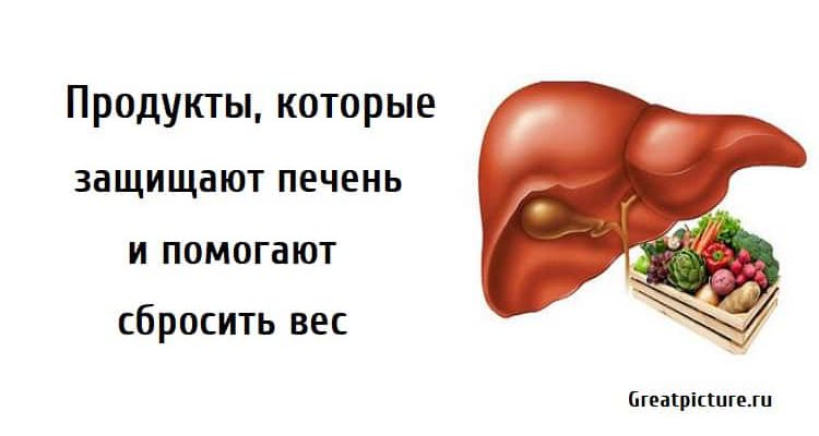 Продукты которые защищают печень, сбросить лишний вес, полезные продукты, как защитить печень,