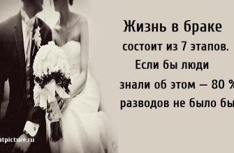 Жизнь в браке состоит из 7 этапов, брак, все о браке, что нужно знать о браке,